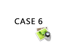 case 6